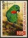 Blue-crowned Hanging-Parrot (Loriculus galgulus)