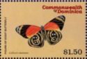 Eighty-eight Butterfly (Callicore maimuna)