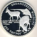 250 Tögrög (Saiga entelope)
