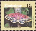 Jackson's Emperor Moth (Bunaeopsis jacksoni)