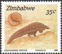 Pangolin (Manis sp.) 