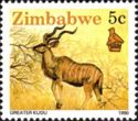 Greater Kudu (Tragelaphus strepsiceros)