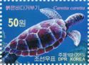 Loggerhead sea turtle (Caretta caretta)
