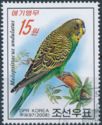 Budgerigar (Melopsittacus undulatus)