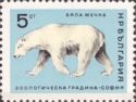 Polar Bear (Ursus maritimus)