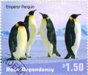 Emperor Penguin (Aptenodytes forsteri)