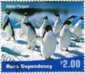 Adelie Penguin (Pygoscelis adeliae)