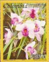 Cattleya dowiana