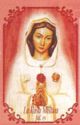 "Saint Mary - Mystic Rose"