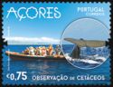 Observation of Whales on Faial 
