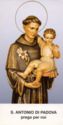 "Anthony of Padua", Padova, Messaggero Ed. - Padova (IT), Veneto - Saints (M)