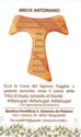 "Anthony of Padua", Afragola, Etica Grafica - Afragola (IT), Campania - Saints (M)