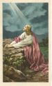 "Jesus - Garden (in the-)"