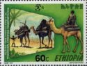 Dromedary (Camelus dromedarius) Caravan