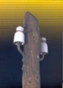Mast with insulators of Porcelain