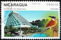 Hotels of Managua, bird