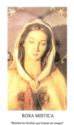 "Saint Mary - Mystic Rose"
