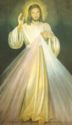 "Jesus - Divine Mercy"
