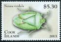 Southern Green Stink Bug (Nezara viridula)
