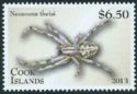 Orbweaver Spider (Neoscona theisi)