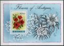 Flowers of Antigua
