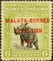 Sumatran Rhinoceros - overprinted