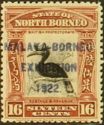 Rhinoceros Hornbill (Buceros rhinoceros) - overprinted