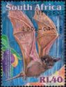 Egyptian Free-tailed Bat (Tadarida aegyptiaca)