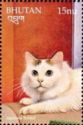 Japanese Bobtail (Felis silvestris catus)