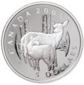 5 Dollars (White tailed deer)