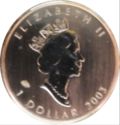 1 Dollar (Maple Leaf Hologram)
