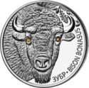 20 Rubles (European bison)