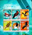 Birds of the Himalayas
