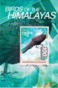 Birds of the Himalayas