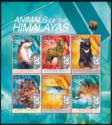 Animals of the Himalayas