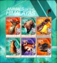 Animals of the Himalayas