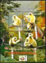Golden Langur (Trachypithecus geei)