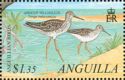 Greater Yellowlegs (Tringa melanoleuca)