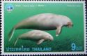 Dugong (Dugong dugon)