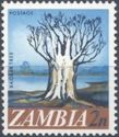 Baobab tree