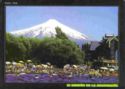 Villarrica Volcano – view from Pucón
