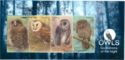 Owls: Guardians of the Night