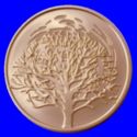 10 New Sheqalim (Biblical Art - The Burning Bush)