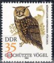 Eurasian Eagle-Owl (Bubo bubo)