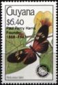 Longwing (Heliconius tales) overprinted Rotary