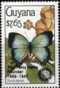 Hairstreak Butterfly (Thecla telemus) overprinted Rotary