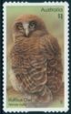 Rufous Owl (Ninox rufa)