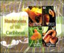 Mushrooms of the Caribbean