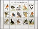 Birds of Ireland