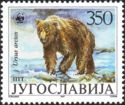Brown Bear (Ursus arctos)